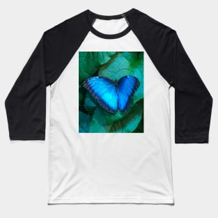 Purple butterfly Baseball T-Shirt